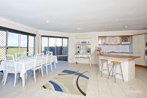 Property photo of 37 Blueash Crescent Oxenford QLD 4210