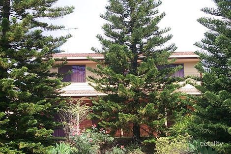 47 Tirrabella St, Carina Heights, QLD 4152
