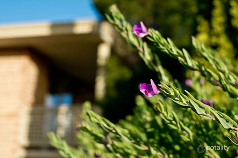 Property photo of 2/8 Hunt Place Maylands WA 6051