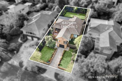 53 Renwick St, Glen Iris, VIC 3146