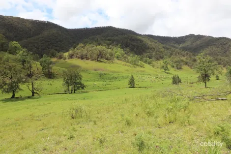 288 Smiths Creek Rd, Lower Creek, NSW 2440