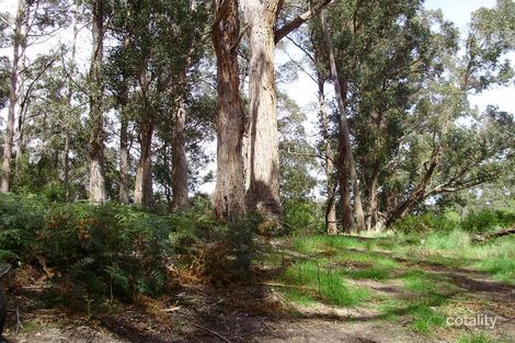 Lot 1 Guys Rd, Cygnet, TAS 7112