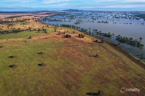 1872 Lake Cowal Rd, Lake Cowal, NSW 2671