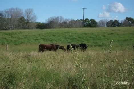Property photo of 97 Kays Road Redhill Farms QLD 4671