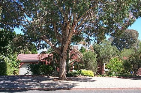 49 Bedelia Way, Hamersley, WA 6022
