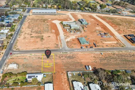 6 Grandview Dr, Buronga, NSW 2739