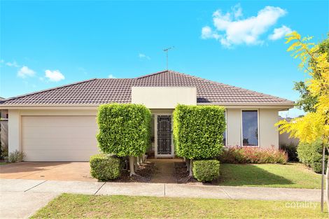 16 Marsh Ct, Drysdale, VIC 3222
