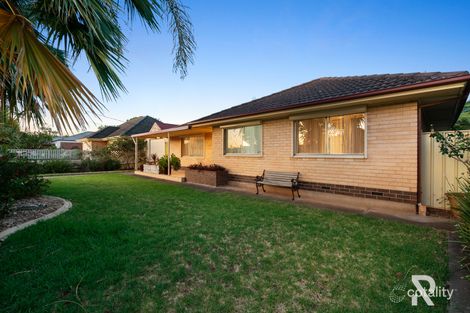 Property photo of 11 Blueberry Road Parafield Gardens SA 5107