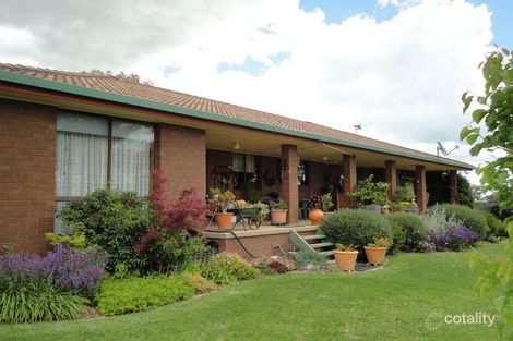Property photo of 4192 Murringo Road Young NSW 2594