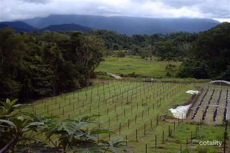 Property photo of 925 Mirinjo Access Road Woopen Creek QLD 4871