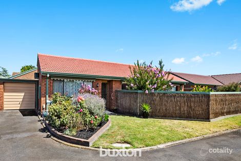 Property photo of 7 Selwood Retreat Cheltenham VIC 3192