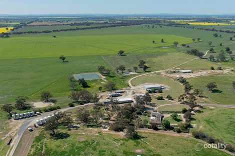 2469 Murtoa-Glenorchy Rd, Wal Wal, VIC 3385