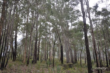Property photo of 22 Karri Street Manjimup WA 6258