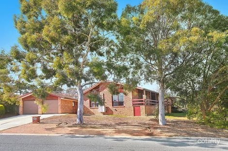 Property photo of 53 Twelvetrees Crescent Florey ACT 2615