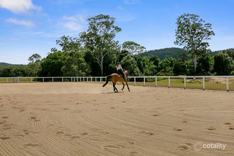 Property photo of 252 Skyring Creek Road Federal QLD 4568