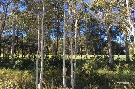 Property photo of 201 Balgownie Drive Peregian Springs QLD 4573