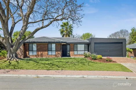 11 Reisling Rd, Wynn Vale, SA 5127
