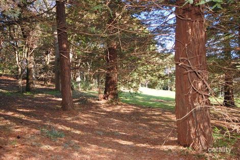 249 Stennetts Rd, Comboyne, NSW 2429