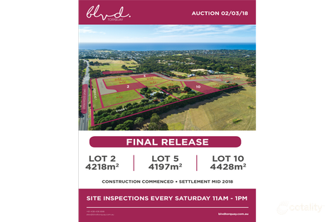 305 Great Ocean Rd, Jan Juc, VIC 3228