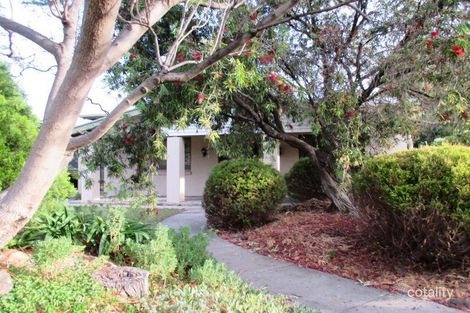 Property photo of 85 Dunrobin Road Warradale SA 5046