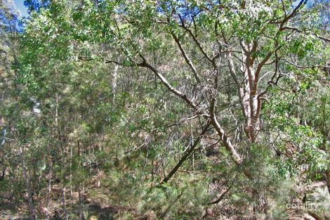 Property photo of 10 Nimbin Road Koolewong NSW 2256