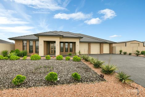 Property photo of 23 Claret Avenue Virginia SA 5120