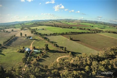 231 Yankee Crossing Rd, Henty, NSW 2658