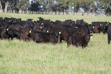 3159 Springdale Rd, Jerdacuttup, WA 6346