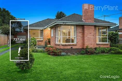 Property photo of 23 Amber Grove Mount Waverley VIC 3149