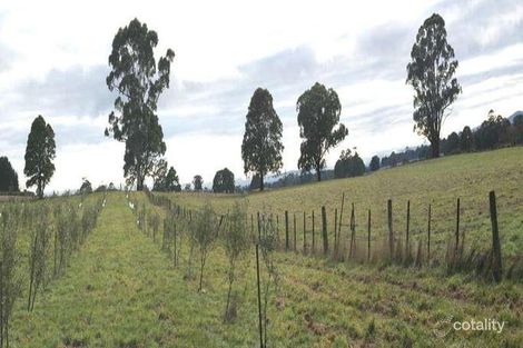 Property photo of 19 Oconnells Road Trentham East VIC 3458