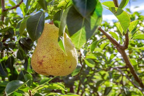 Property photo of 1689 Canning Road Karragullen WA 6111