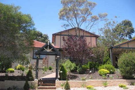 Property photo of 3 Euroa Avenue Banksia Park SA 5091