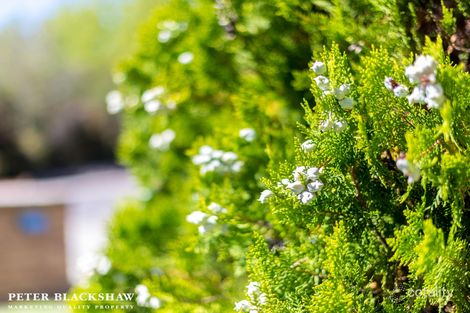 Property photo of 1/13 Mollee Crescent Isabella Plains ACT 2905