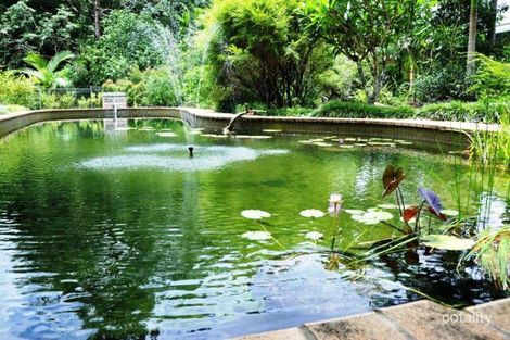 Property photo of 3291 Mossman Daintree Road Daintree QLD 4873