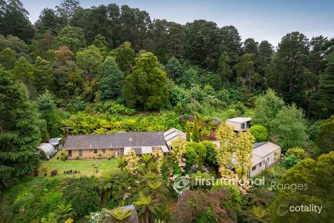 35 Mccarthy Rd, Olinda, VIC 3788