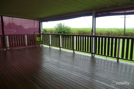 Property photo of 98 River Avenue Mighell QLD 4860