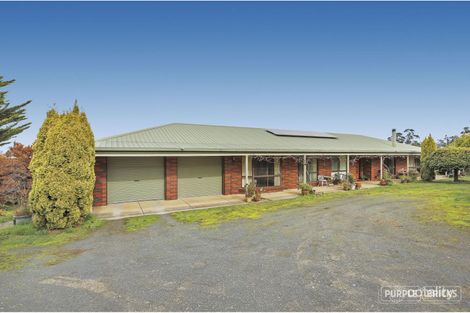 Property photo of 910 Jacksons Track Jindivick VIC 3818