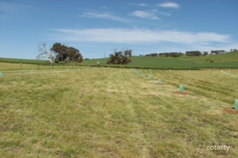 Property photo of 41 Kelly Road Mintaro SA 5415