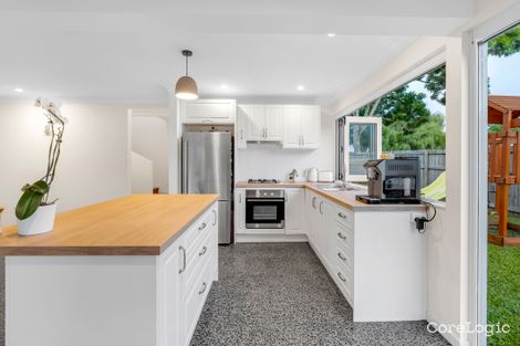 Property photo of 344 McLeod Street Cairns North QLD 4870