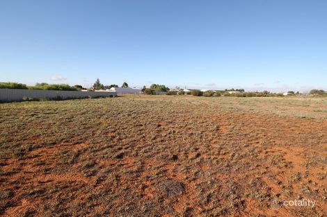 Property photo of 130 Badcoe Road Loxton SA 5333