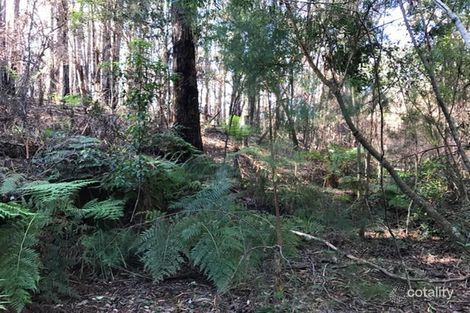 415 Mount Pleasant Rd, Wherrol Flat, NSW 2429