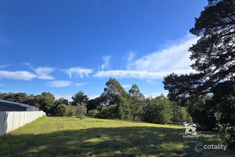 31 SEAGULL AVE, METUNG, VIC 3904