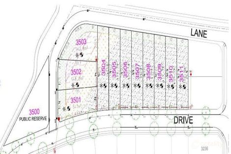 Property photo of 50 Holland Drive Spring Farm NSW 2570