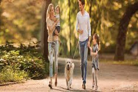 Property photo of 13 Troopers Road Beveridge VIC 3753