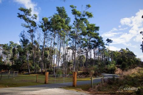 Property photo of 239 Wadleys Road Reedy Marsh TAS 7304