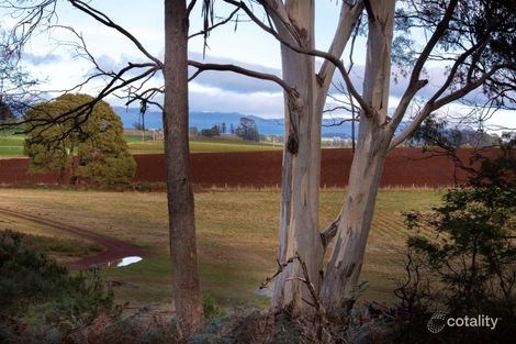 Property photo of 239 Wadleys Road Reedy Marsh TAS 7304
