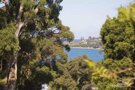 Property photo of 13 Howard Street Lorne VIC 3232