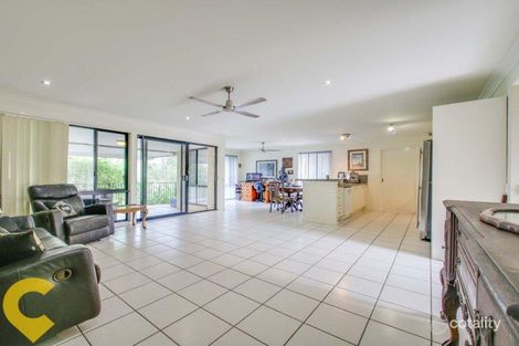Property photo of 53 Kirri Avenue Petrie QLD 4502