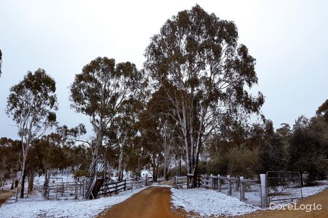 Property photo of 165 Translator Road Armidale NSW 2350