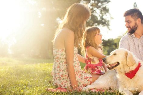 Property photo of 27 Broomfield Road Purga QLD 4306